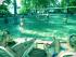 Fitzroy Island ferry transfers -