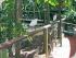Rainforest Habitat -