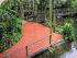 Rainforest Habitat - New Image