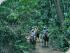 Black Mountain Horseriding - 2 Hour Trail