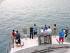 Ocean Freedom -