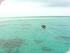 Ocean Freedom -