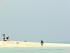 Ocean Freedom -