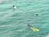 Ocean Freedom -