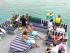 Ocean Freedom -
