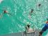 Ocean Freedom -