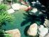 Cairns Queenslander - Swimming Pool