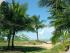 Golden Sands Resort - Native Vegitation