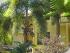 Reef Club Port Douglas - Lush Gardens
