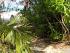 Reef Club Port Douglas - Natural footpath