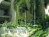 Reef Club Port Douglas - Tropical Paradise