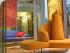Noosa Blue - 