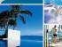 Tingirana Noosa - 