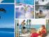 Tingirana Noosa - 