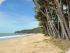 Ellis Beach Bungalows -