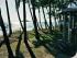 Ellis Beach Bungalows -