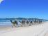 Camel Company - 