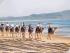 Camel Company - 