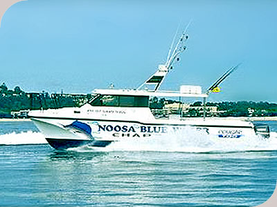 Noosa Blue Water Fishing - 