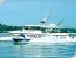 Noosa Blue Water Fishing - 