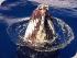 Spirit of Hervey Bay - 