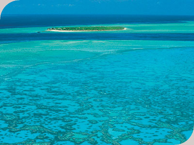 Heron Island Resort - 