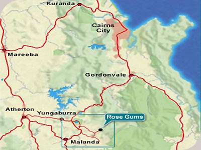 Rose Gums Retreat - 