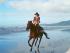 Wonga Beach Horse Rides -