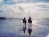 Wonga Beach Horse Rides -