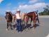 Wonga Beach Horse Rides -