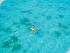 Heron Island Resort - 