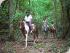 � Day ATV Biking - New Image