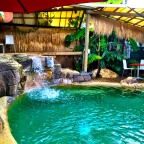 Relaxed tropical pool area