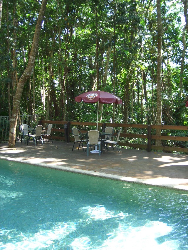 Daintree Cape Trib Beach House Local Advice & Specials at