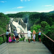 1 Day Kuranda Experience