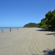 Daintree & Jungle Surfing
