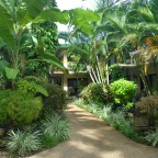 Tropical Gardens - Bay Village