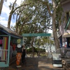 Palm Cove Village - BTS Tours