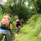 Free water, Free air and Free mud facials on some trails - Dan's Mountain Biking