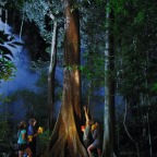 Experience the nocturnal world - Jungle Adventures Nightwalk