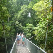Daintree Discovery Tours