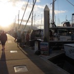 Departing from Cairns Marlin Marina - Blue Whaler