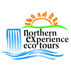 Northern Experience Eco Tours logo