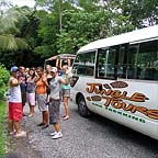 tropical journeys daintree