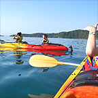 tropical journeys daintree