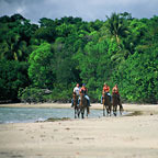 tropical journeys daintree