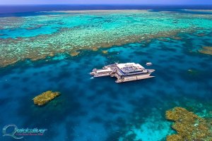 Quicksilver Reef Trip Cairns