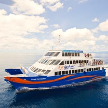 Which Cairns Reef Tour?