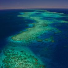 Visiting The Great Barrier Reef
