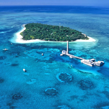 Cruise Ship Passengers